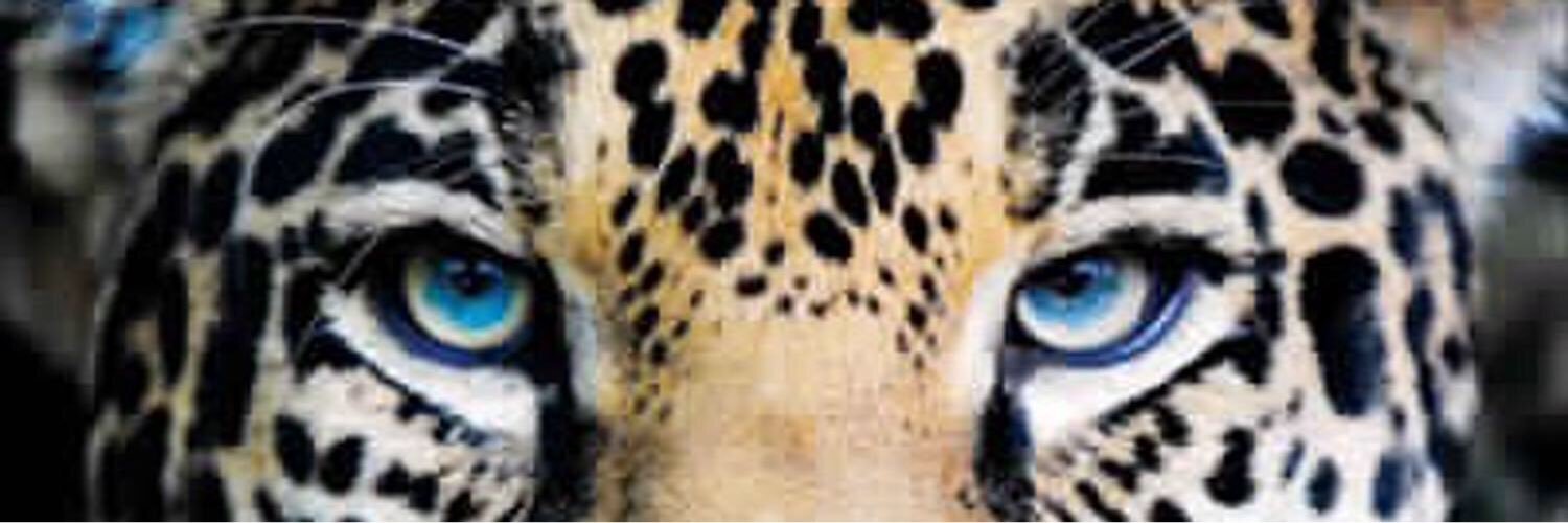 DLott6's profile banner image
