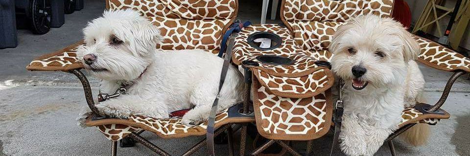 jodyconnaghan's profile banner image
