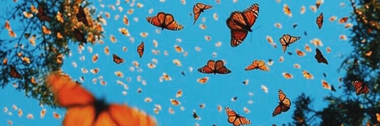 WesleyFigg's profile banner image