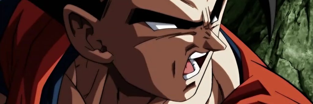 MolinaTheDonkey's profile banner image
