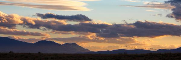 bertwurst Profile Banner