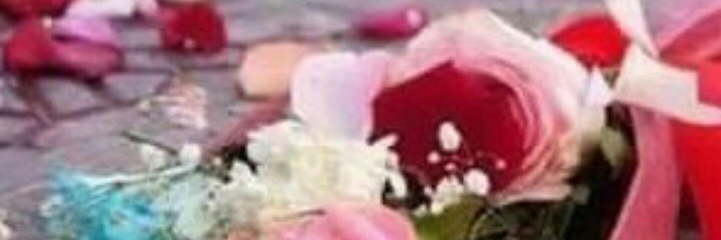 meis_120's profile banner image
