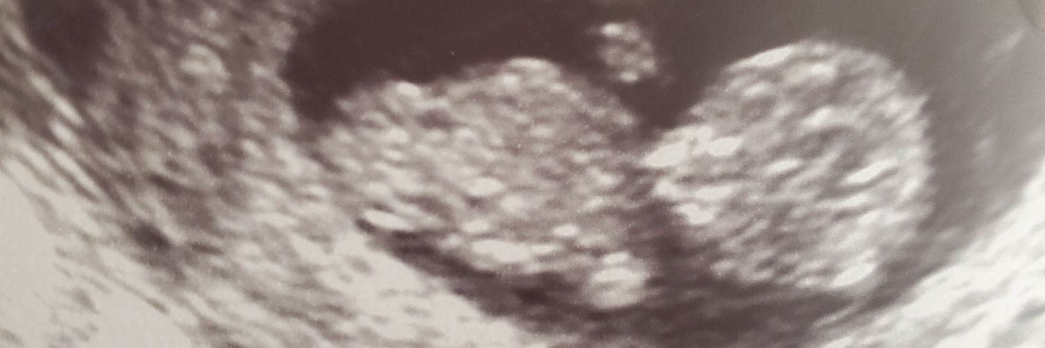 Sara_Gaither124's profile banner image