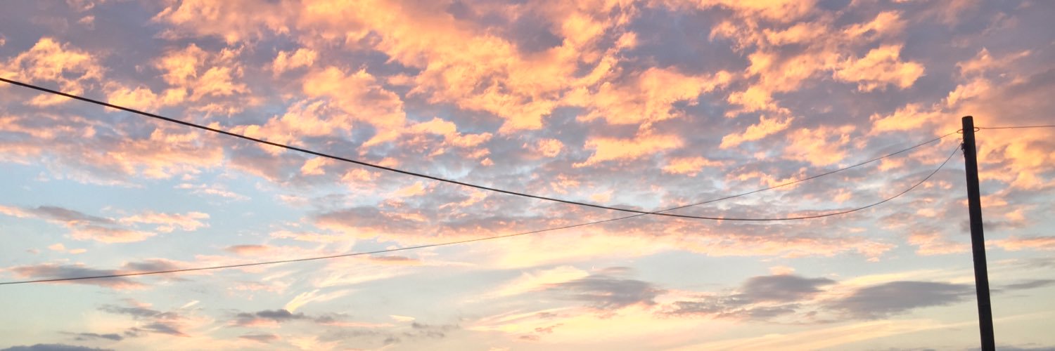 lillywellss's profile banner image