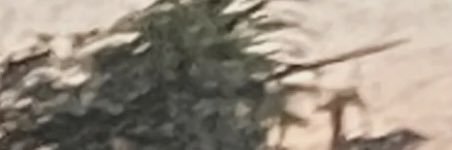 yaaaniya's profile banner image
