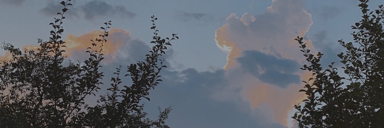 Andreeala18's profile banner image