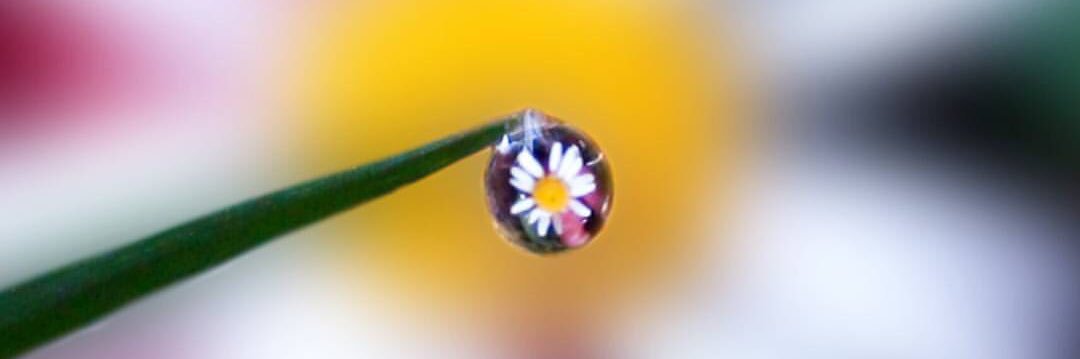 Tommy Nor(r)mén banner