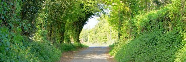 kwallacet Profile Banner