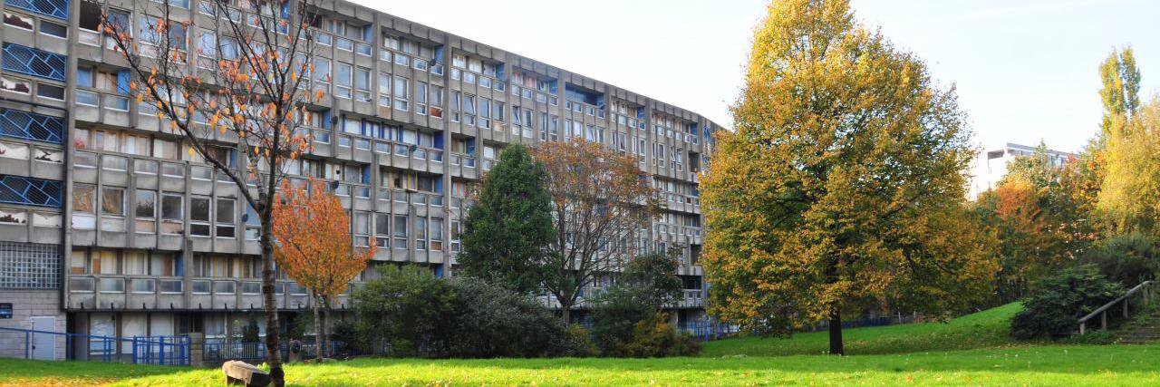 Save Robin Hood Gdns banner