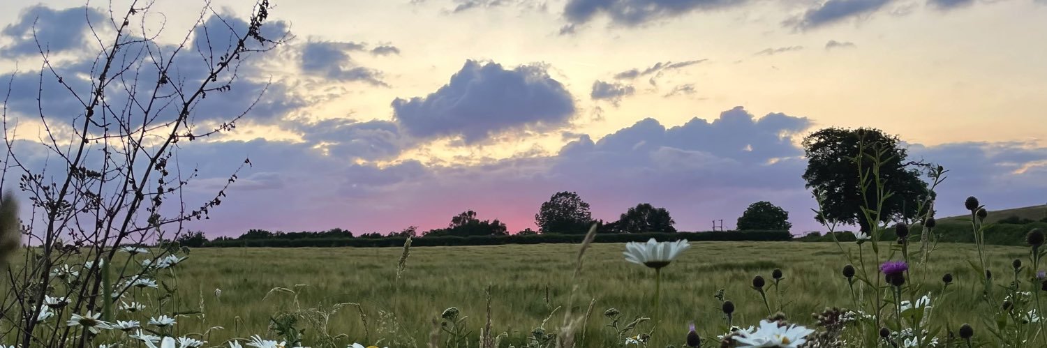 Anna_Tarrant_'s profile banner image
