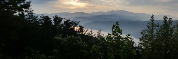 maureenlees4 Profile Banner