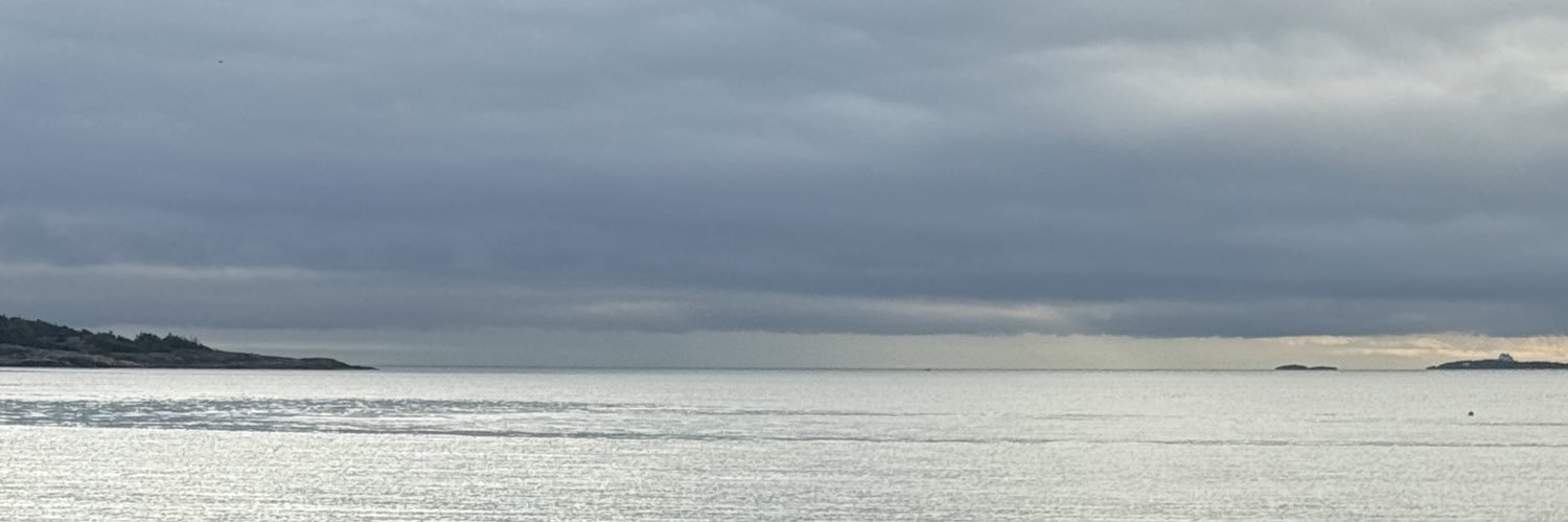 EThorstein's profile banner image