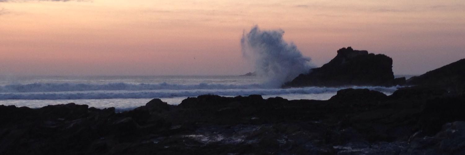 Charlotte Cumming banner