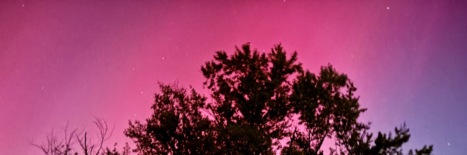 disappointingdi's profile banner image