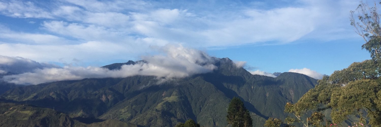 DianaGimenezT's profile banner image