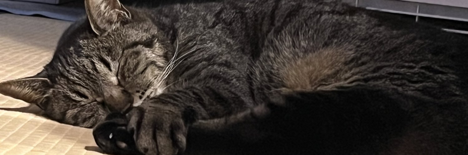 holy_time0109's profile banner image