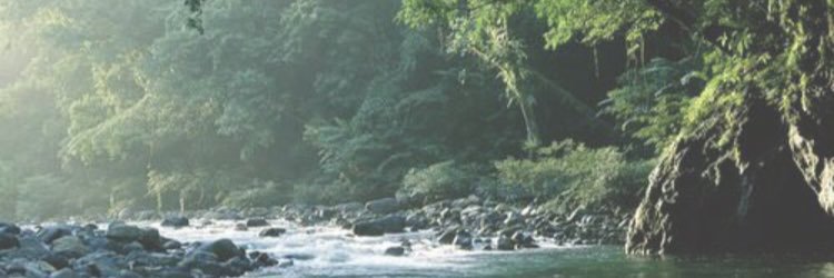 x_kene's profile banner image
