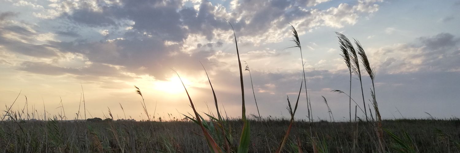 fcomdnrz's profile banner image