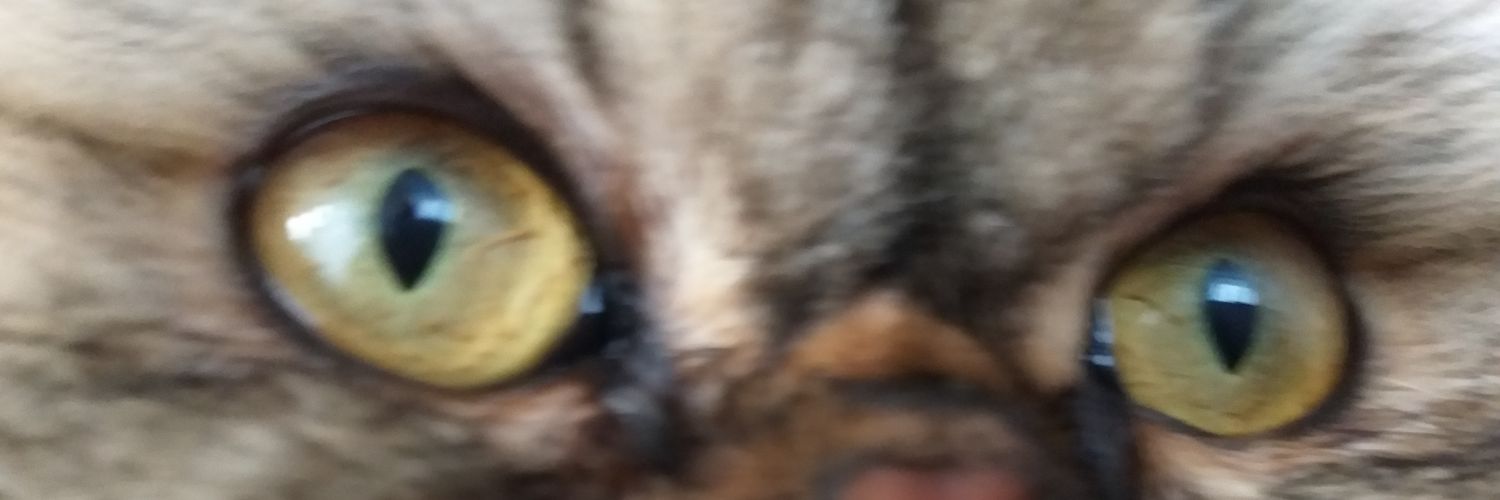 serap_glcan's profile banner image