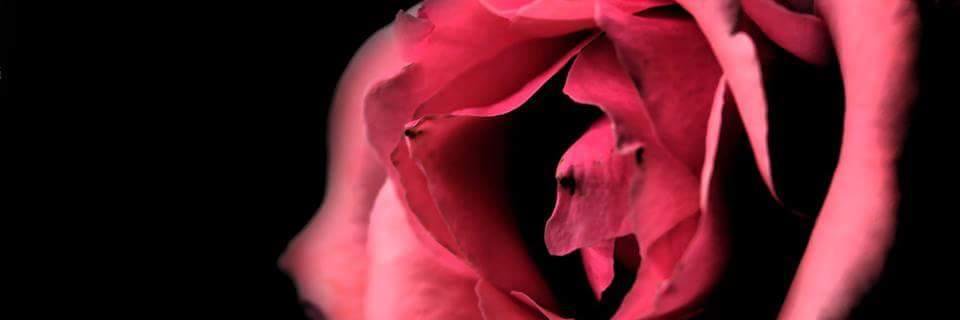 benedetta_esse's profile banner image
