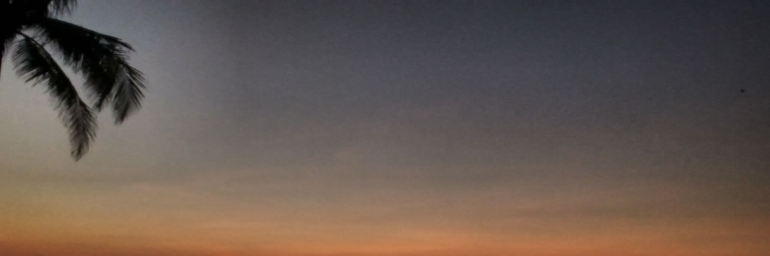 Nilkanth_29's profile banner image