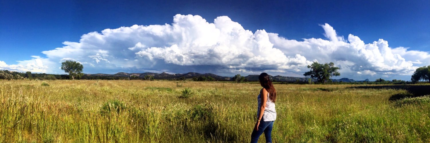 SarahiAlmeida's profile banner image
