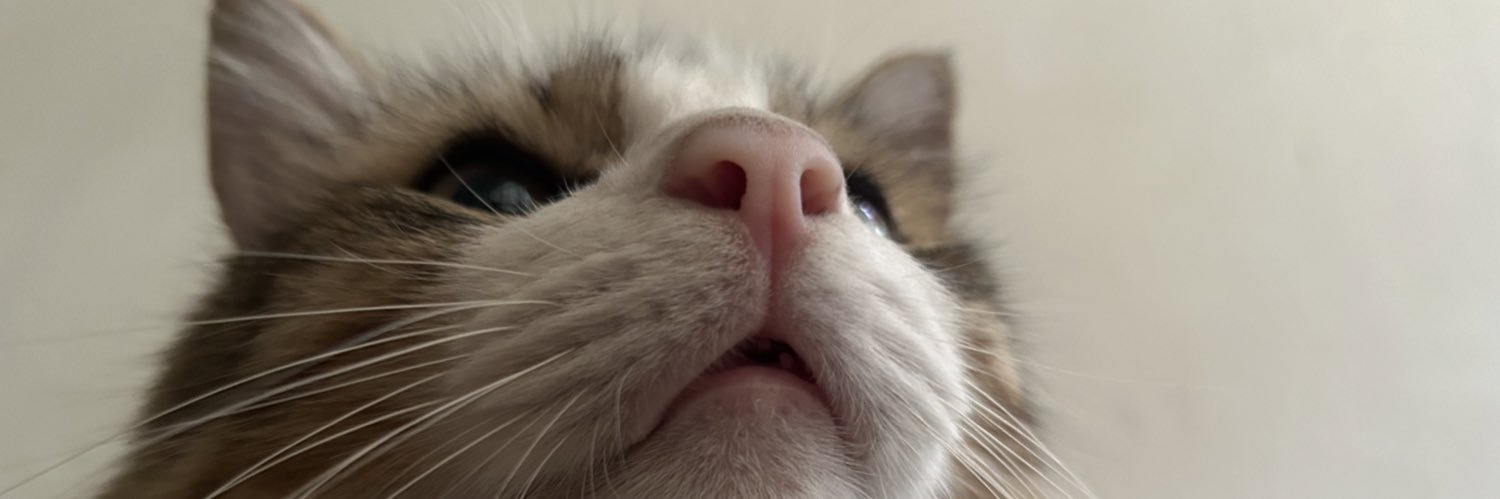 itsjobl's profile banner image