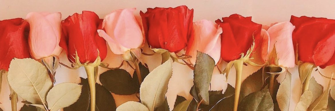 NohelyAcostaaaa's profile banner image