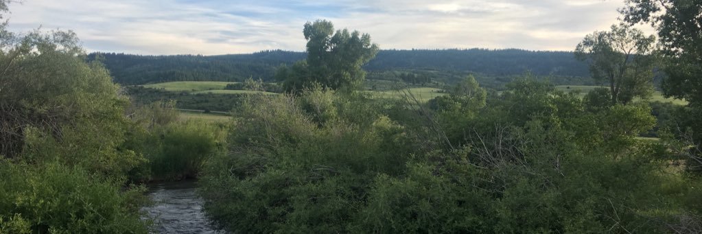 MTB banner