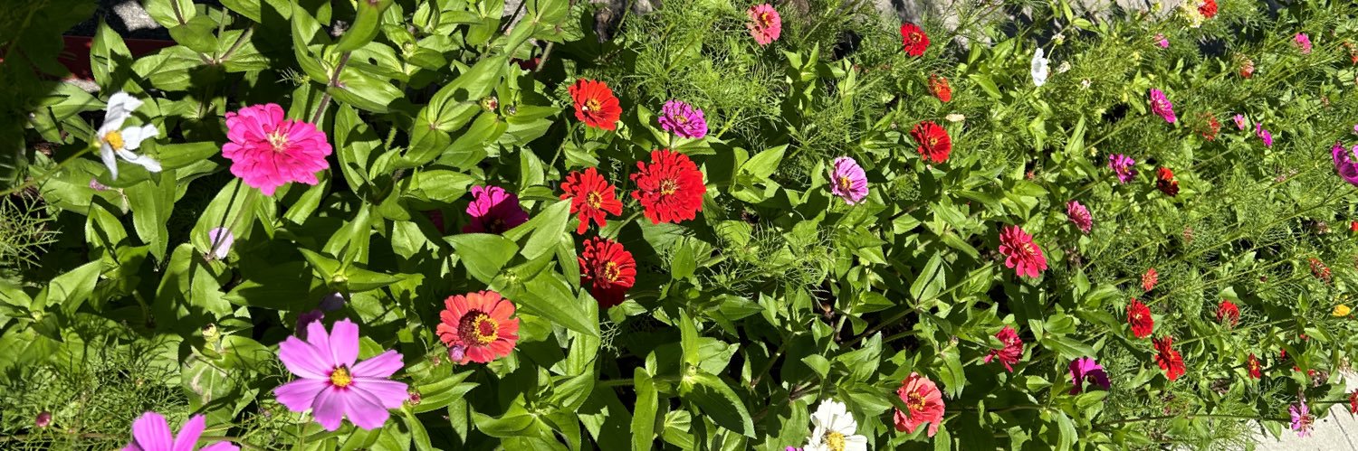 Bridget McGivern banner