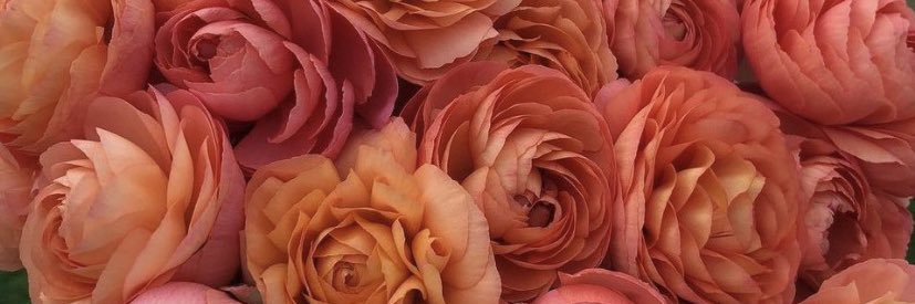 kencam123's profile banner image