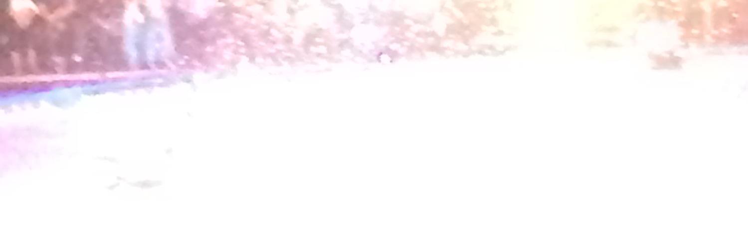 nikkipretti_'s profile banner image