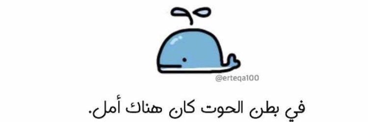 alraqi_1993's profile banner image