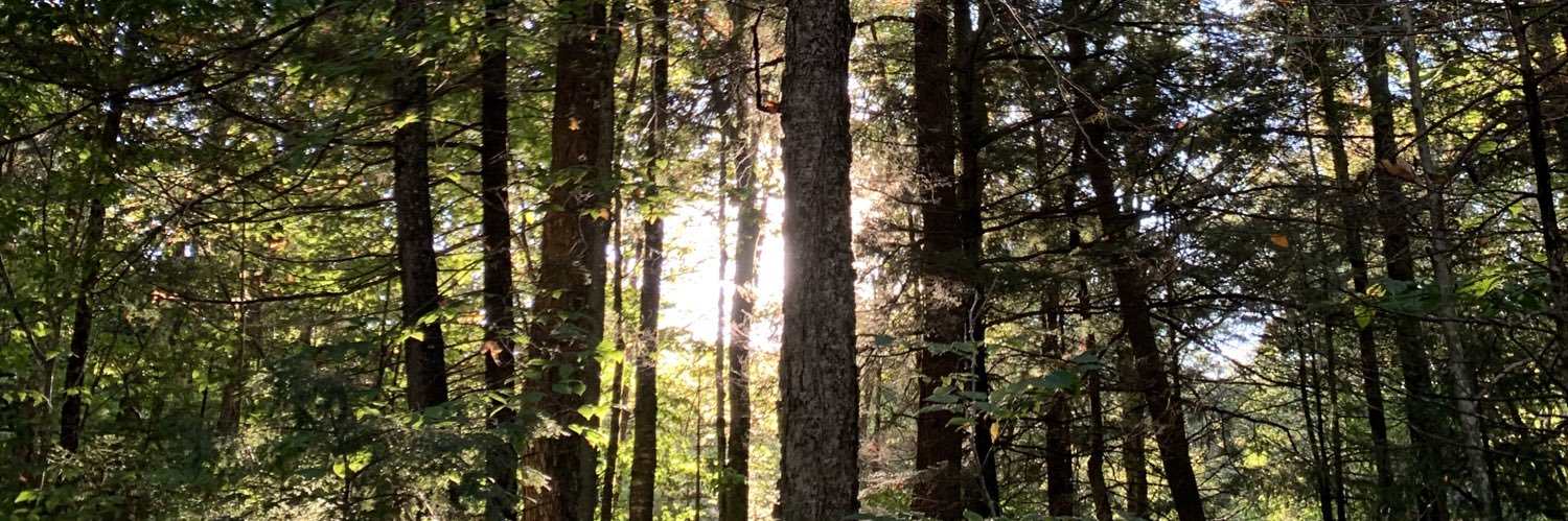 chefadv's profile banner image