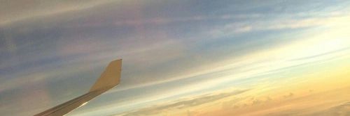 QuanOfficialll's profile banner image