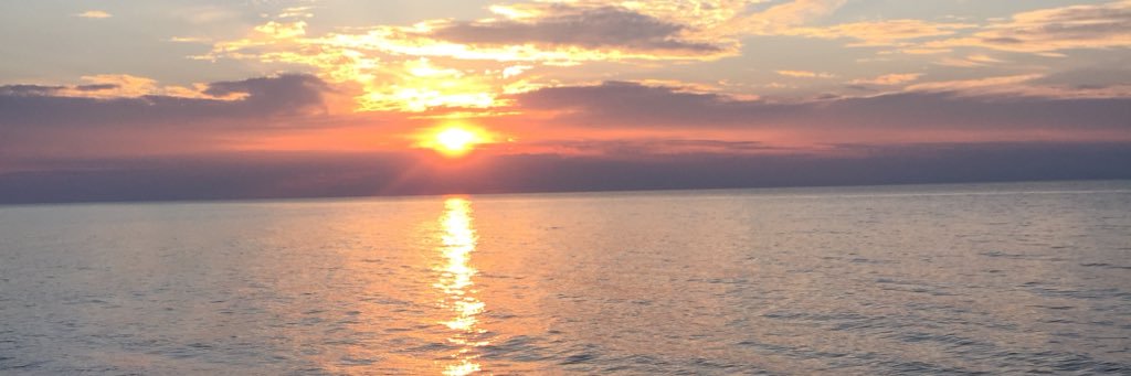 mzimmer15's profile banner image