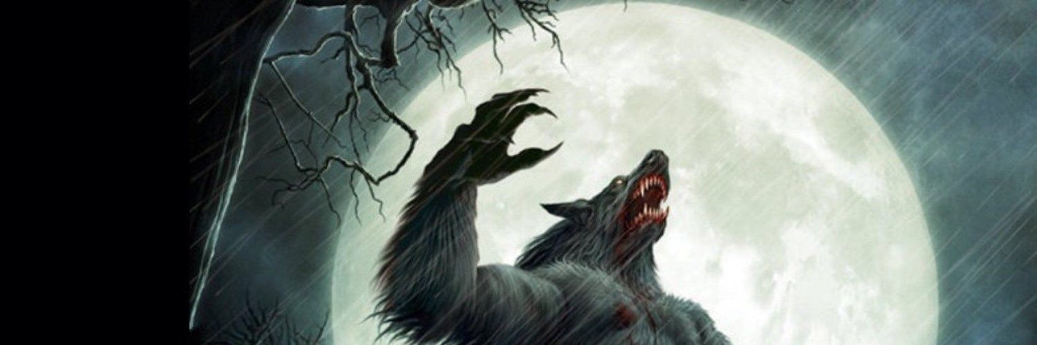 Tish the Dish banner