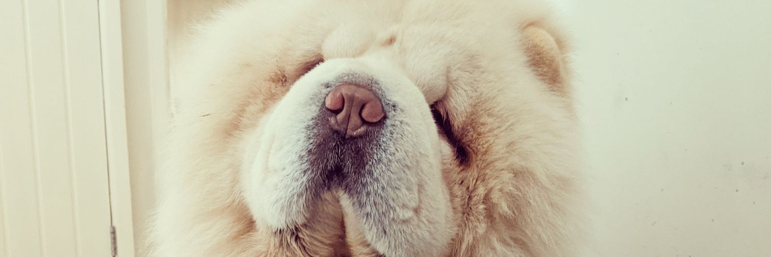 Bethany Walden banner