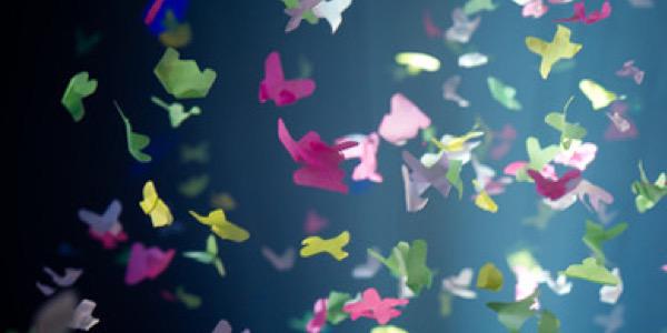 Ciarii's profile banner image