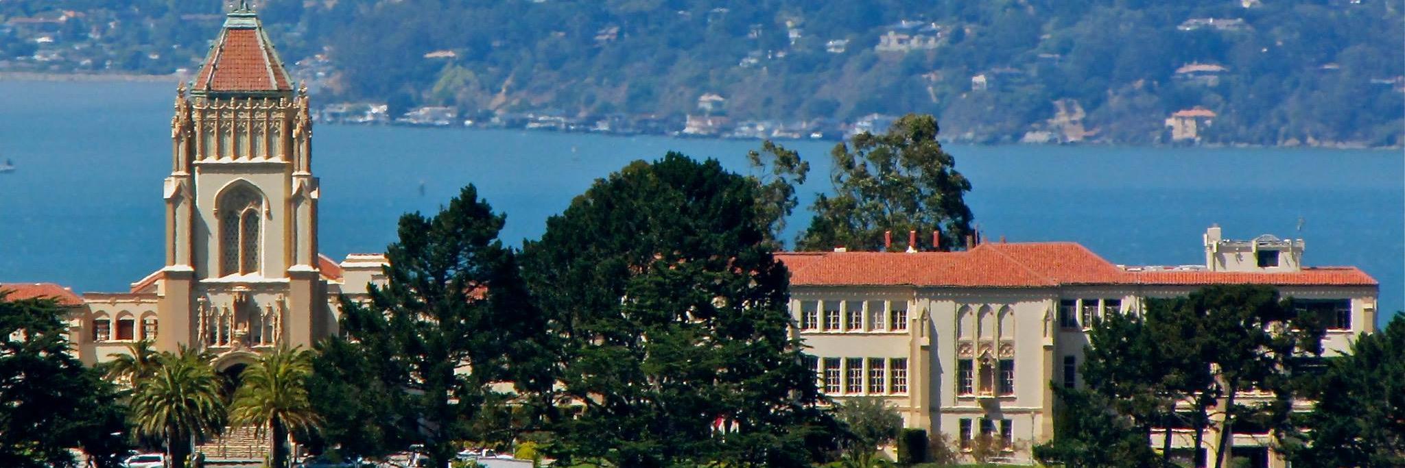 USF Diversity banner