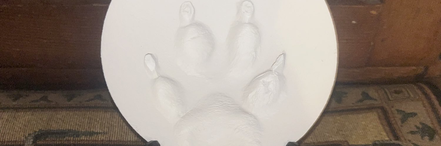 Roskos_'s profile banner image