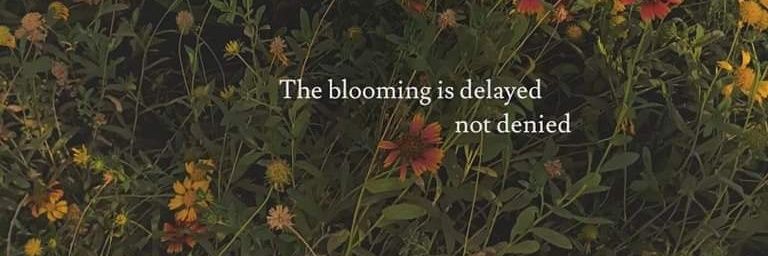 AHeavyButterfly's profile banner image