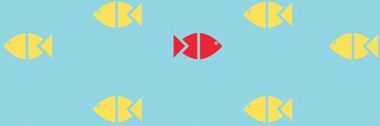 better_call_dav's profile banner image