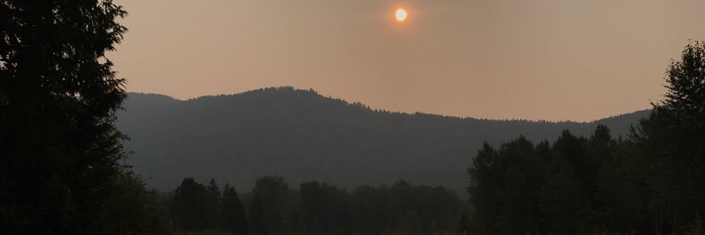 ElisaCavaliere's profile banner image