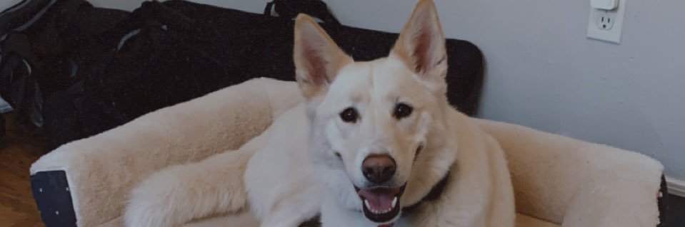 jzander003's profile banner image