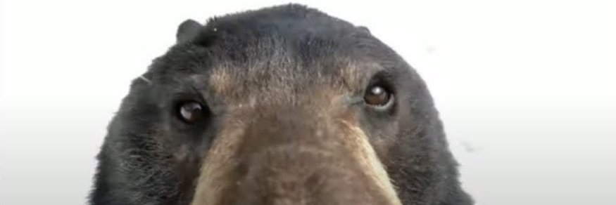 JacksonMaister's profile banner image