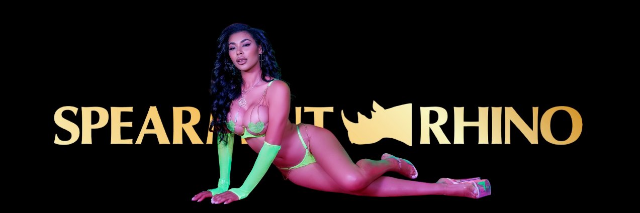 rhinopalmbeach's profile banner image