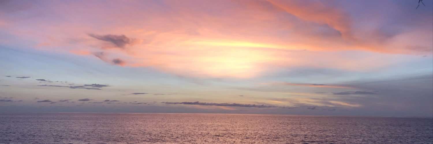 _janlom's profile banner image