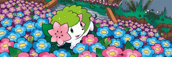 pupperfins's profile banner image