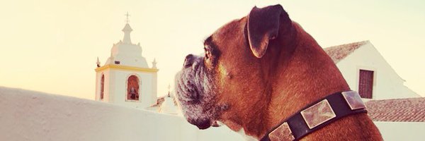 dapperhub1 Profile Banner